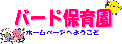 bird.gif bird.gif